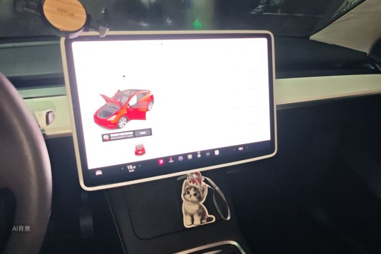 Tesla Model Y 2021 car image #15