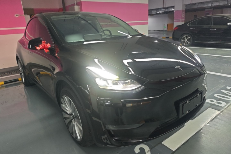 Tesla Model Y 2021 #4 Tesla Model Y 2021 car image #4