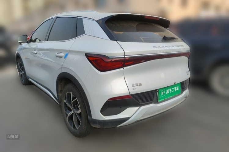 BYD Yuan Plus 2023 car image #5