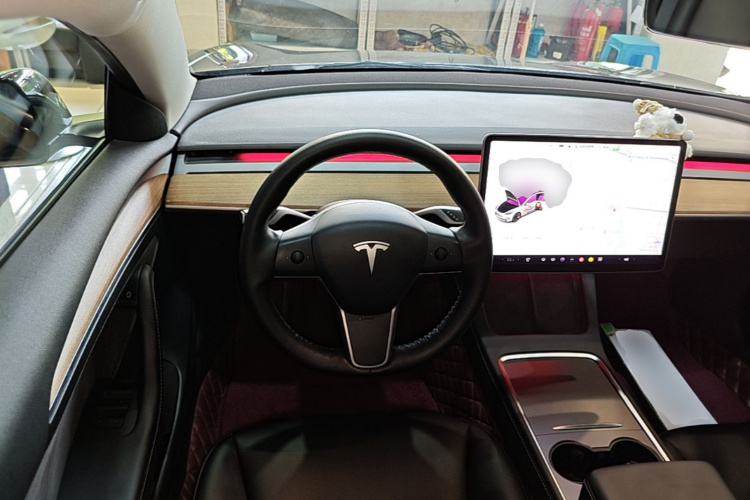 Tesla Model 3 2021 imagem de carro #21