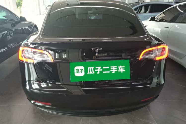 Tesla Model 3 2020 car image #6
