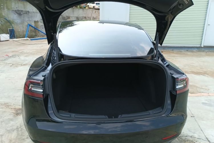 Tesla Model 3 2021 #19 Tesla Model 3 2021 car image #19