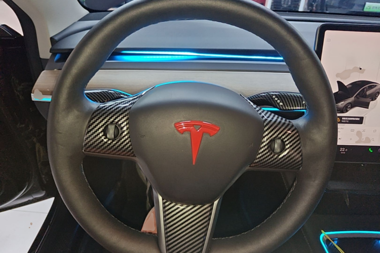 Tesla Model 3 2022 car image #15