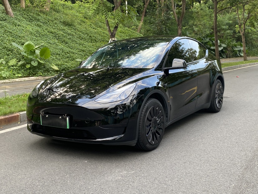 Tesla Model Y 2023 car image 