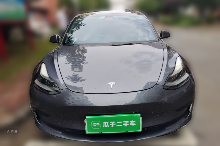 Tesla Model 3 2021 immagine di auto #3