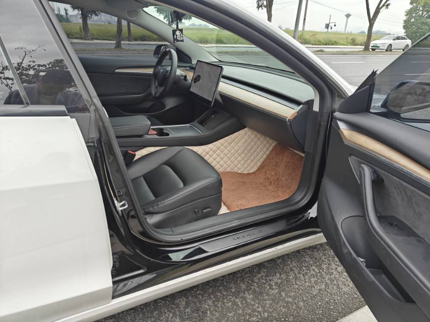 Tesla Model 3 2021 #8 Tesla Model 3 2021 car image #8