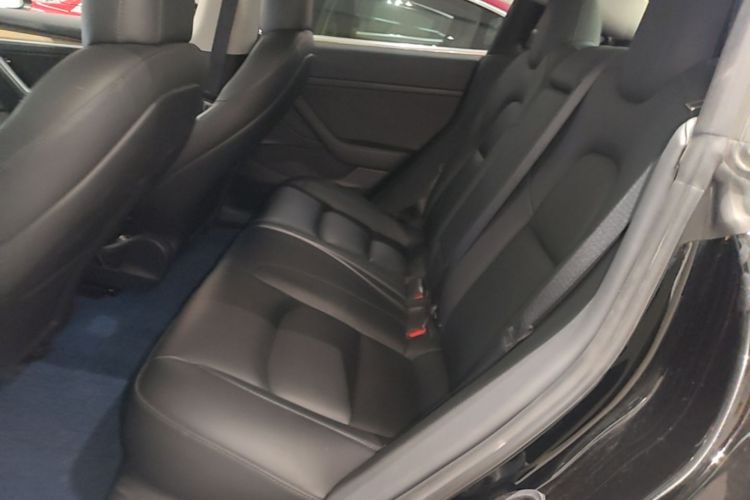 Tesla Model 3 2021 immagine di auto #17