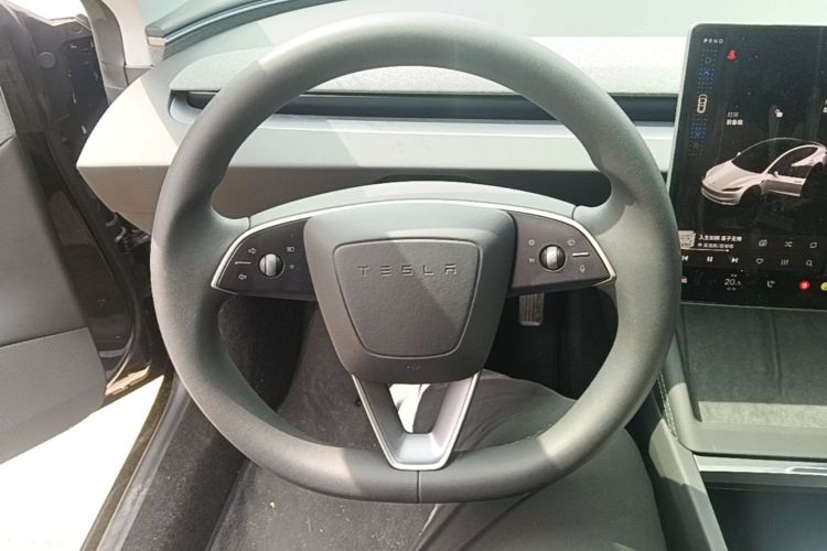 Tesla Model 3 2025 car image #11