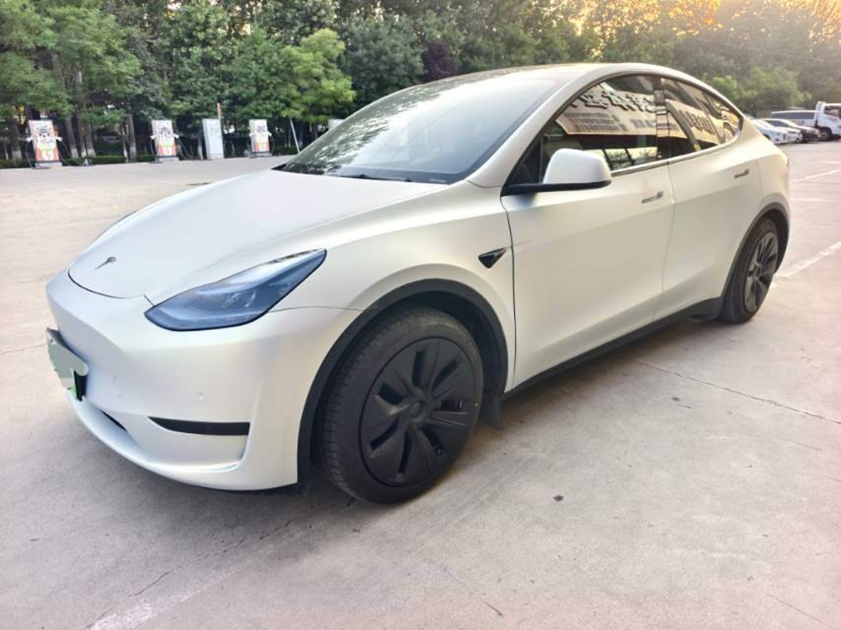 Tesla Model Y 2024 Tesla Model Y 2024 immagine di auto