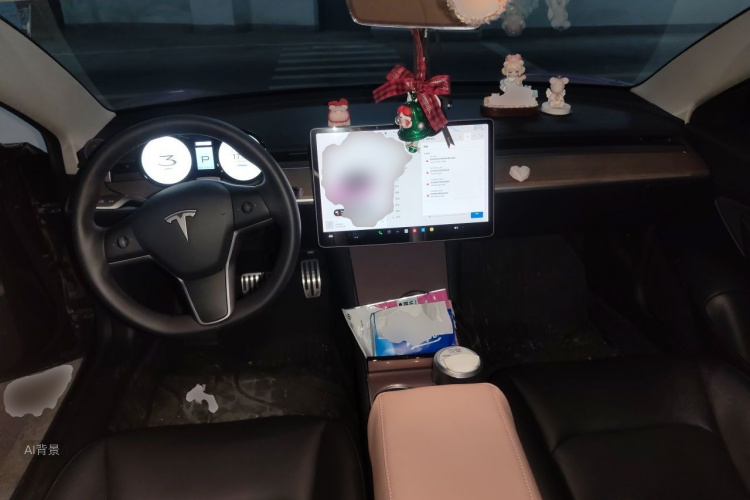 Tesla Model 3 2020 car image #11