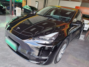Tesla Model Y 2021 Tesla Model Y 2021 car image