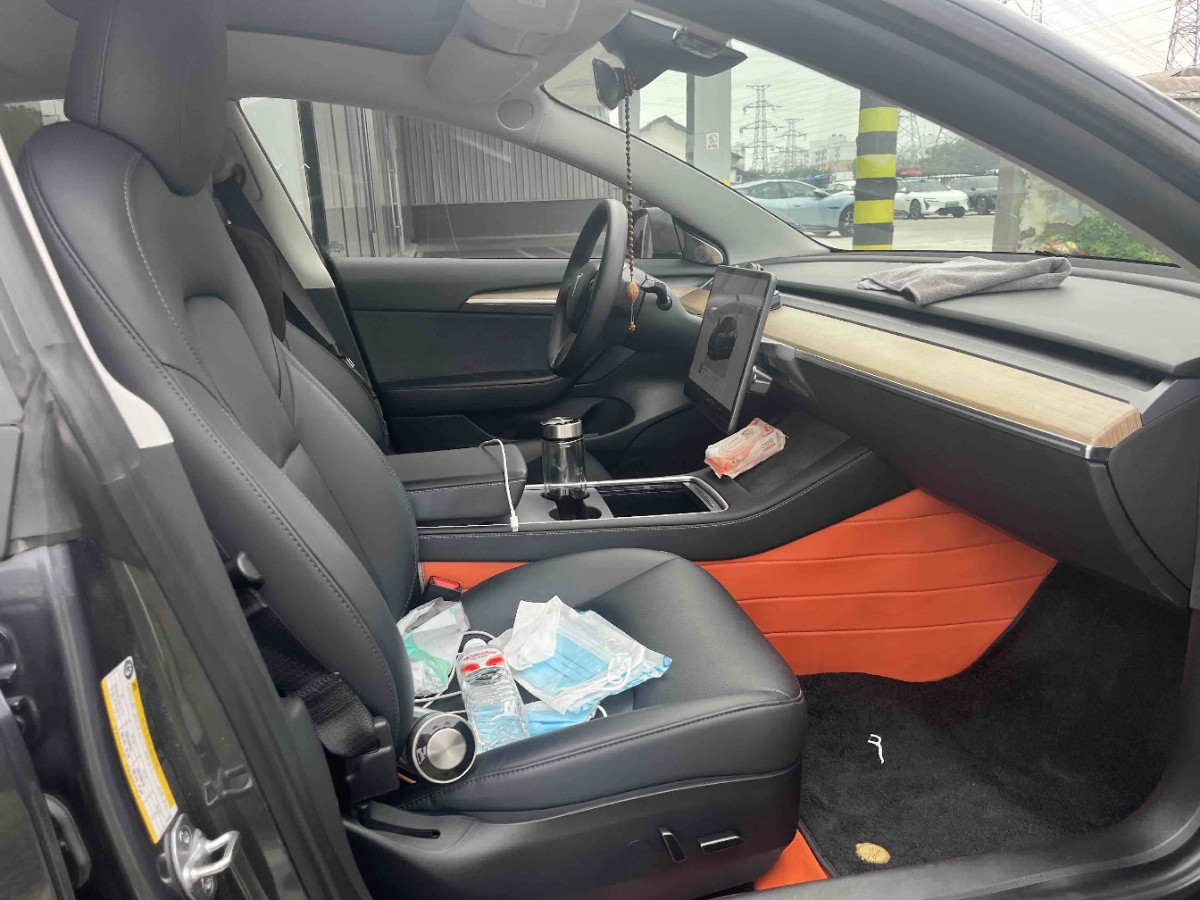Tesla Model 3 2023 #3 Tesla Model 3 2023 car image #3