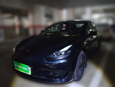 Tesla Model 3 2022 Tesla Model 3 2022 car image