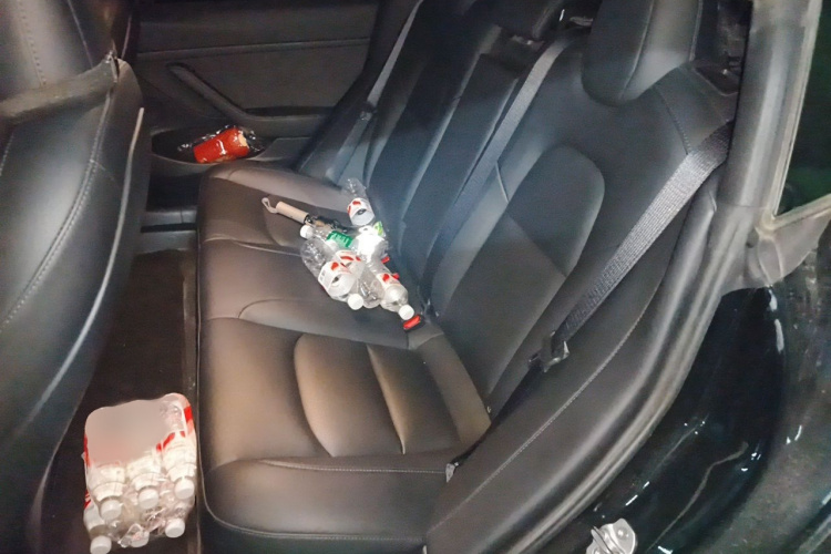 Tesla Model 3 2021 car image #14