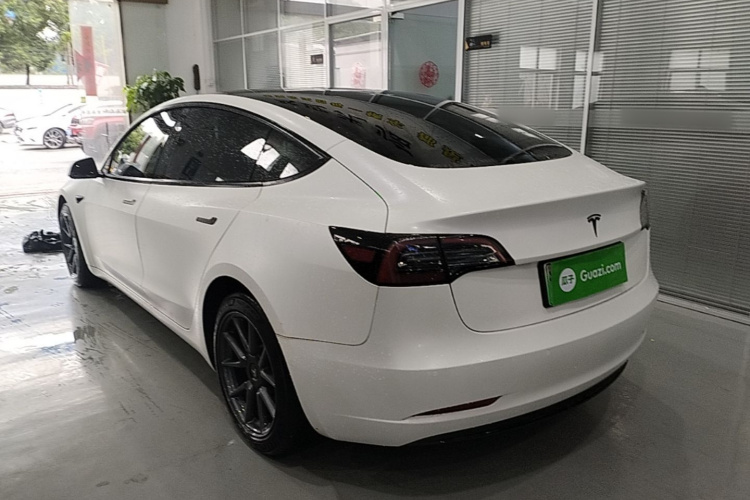 Tesla Model 3 2021 #5 Tesla Model 3 2021 car image #5