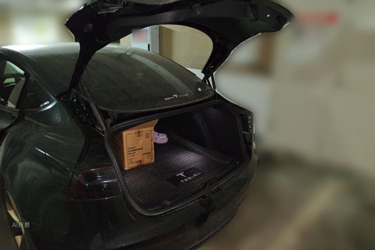 Tesla Model 3 2021 #21 Tesla Model 3 2021 car image #21