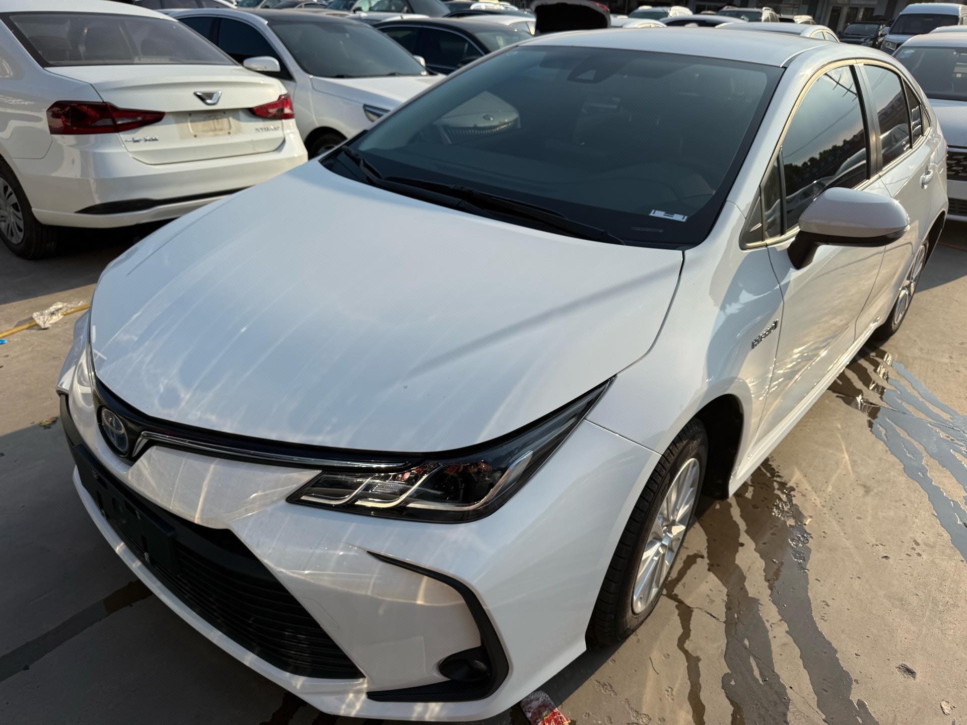 Toyota Corolla 2023 car image 