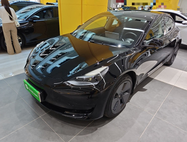 Tesla Model 3 2022 Tesla Model 3 2022 car image