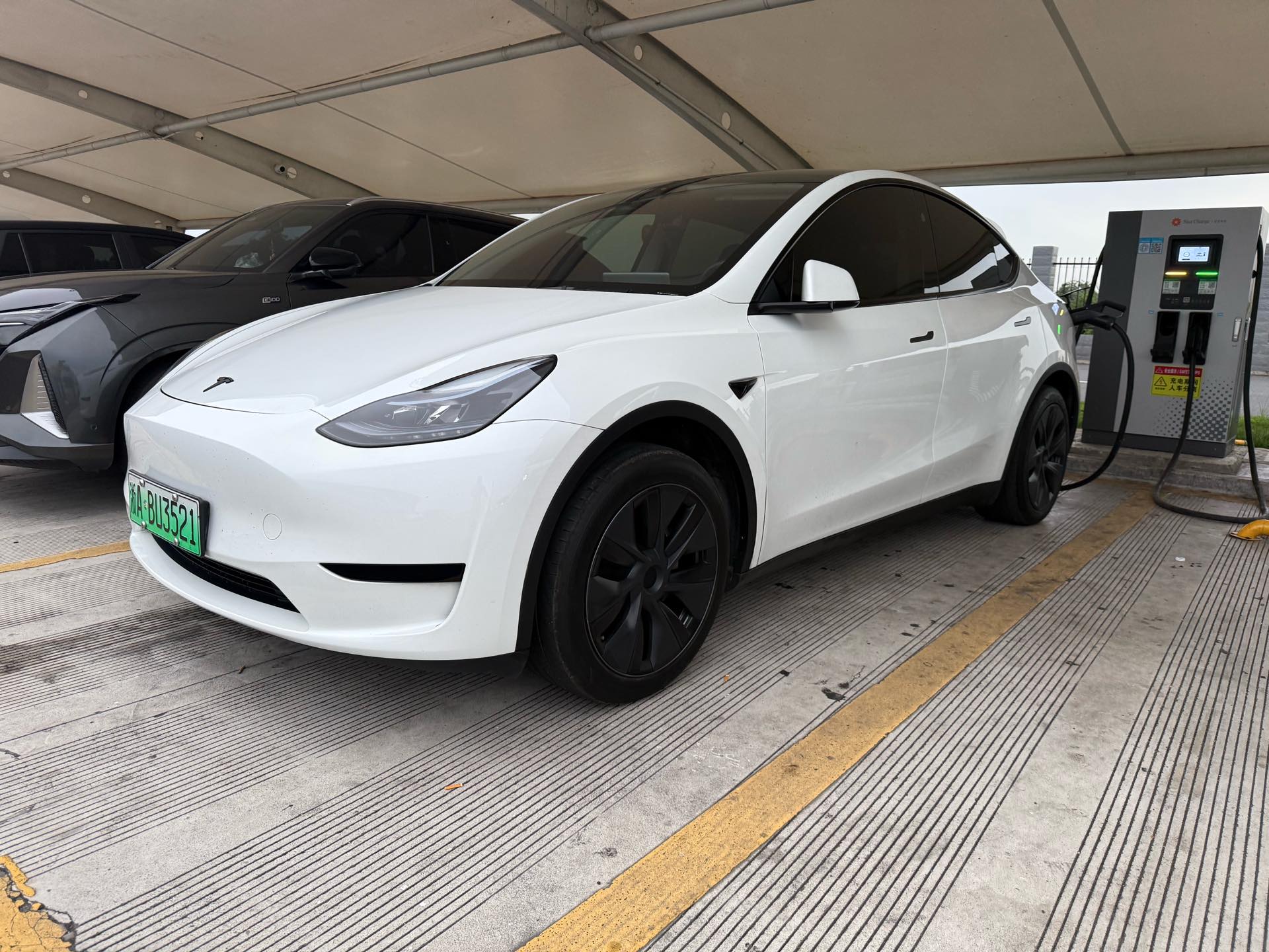 Tesla Model Y 2024 Tesla Model Y 2024 car image