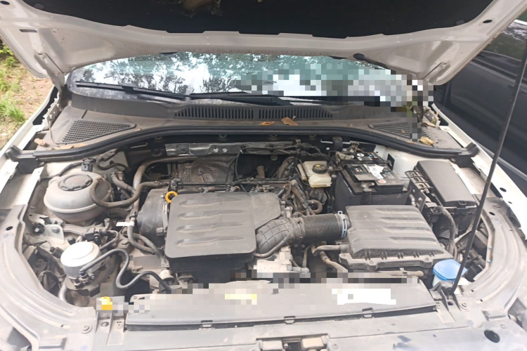Volkswagen Lavida 2020 car image #18