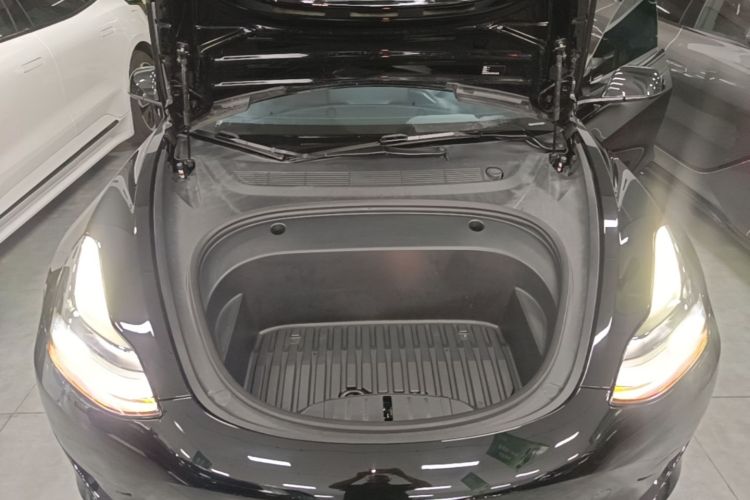 Tesla Model 3 2021 car image #20