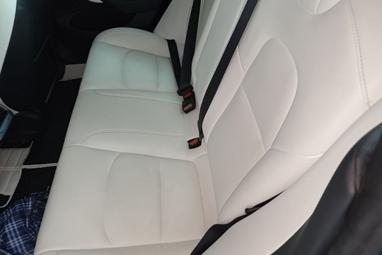 特斯拉 Model 3 2020 汽车图片 #17