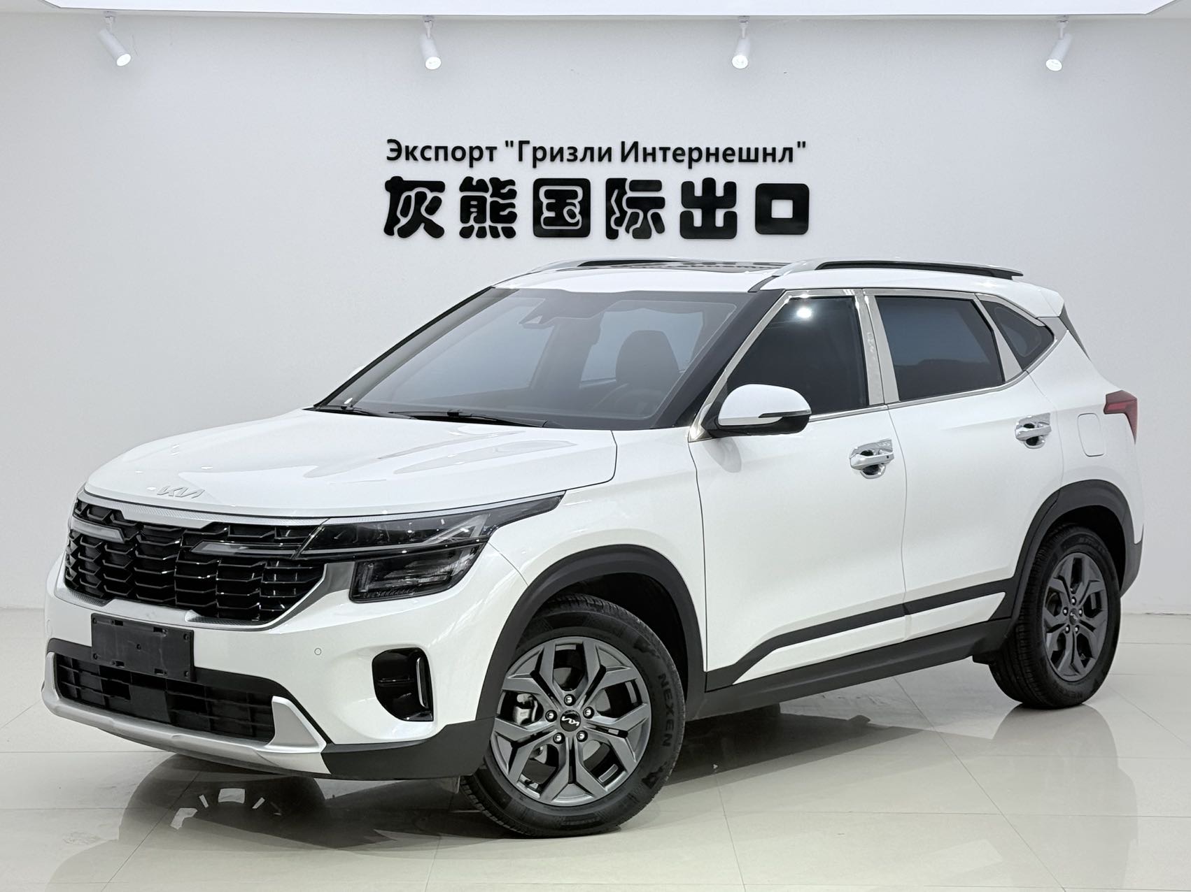 Kia Seltos 2023 Kia Seltos 2023 imagen de coche