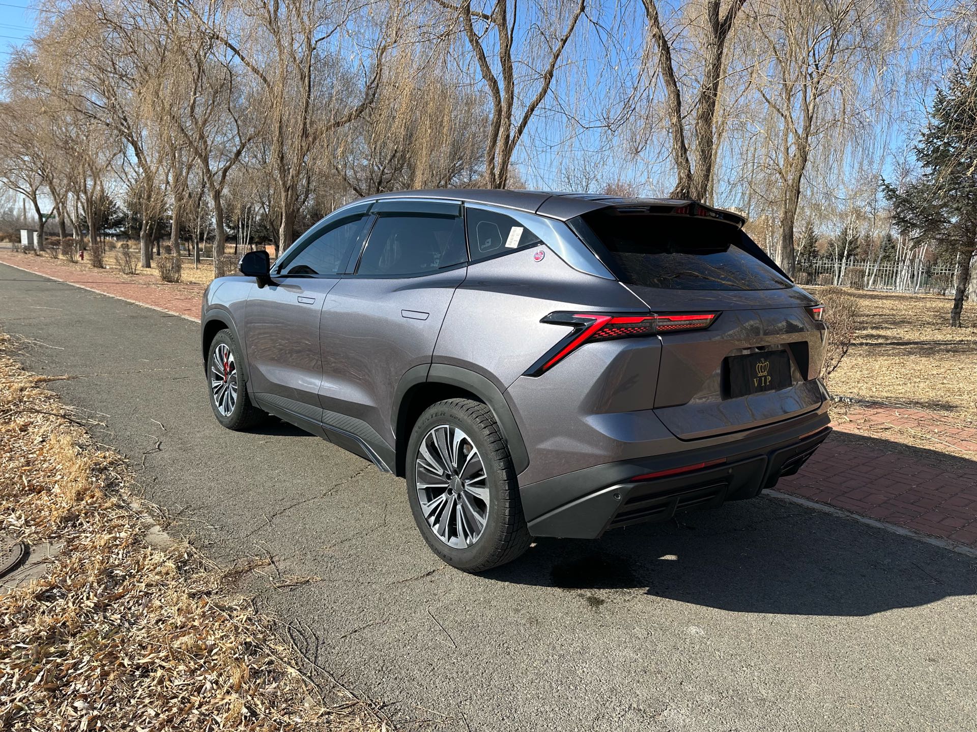 Jetour Dashing 2023 car image #5