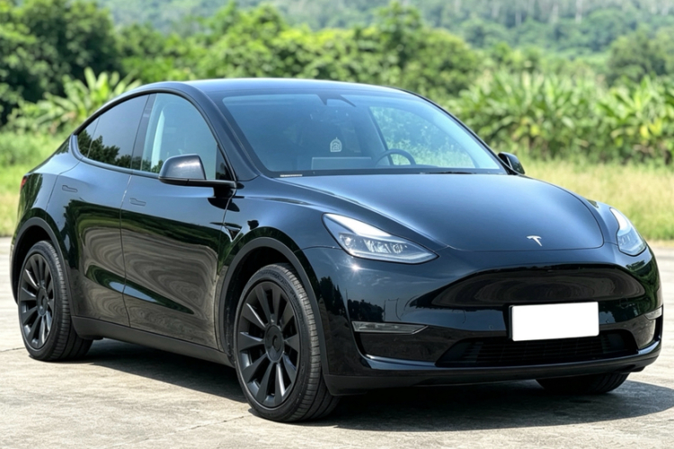 Tesla Model Y 2021 #5 Tesla Model Y 2021 car image #5