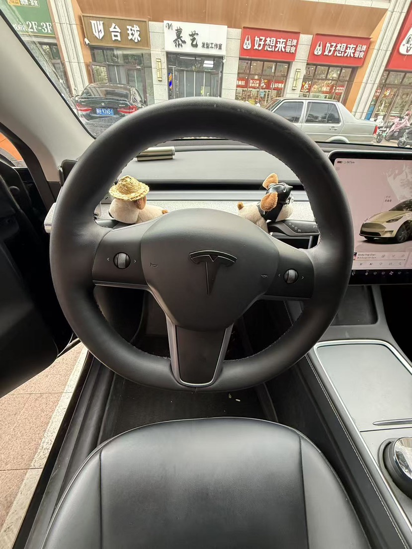 Tesla Model Y 2023 car image #4