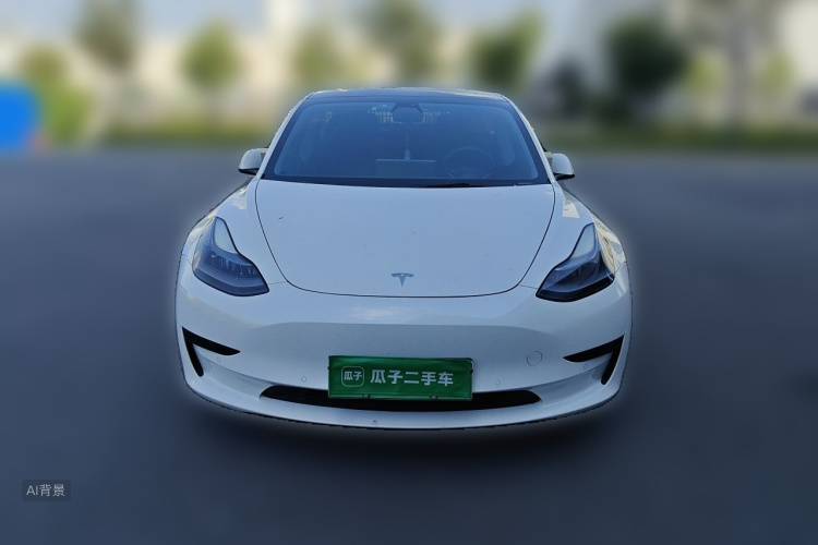 Tesla Model 3 2021 car image #3