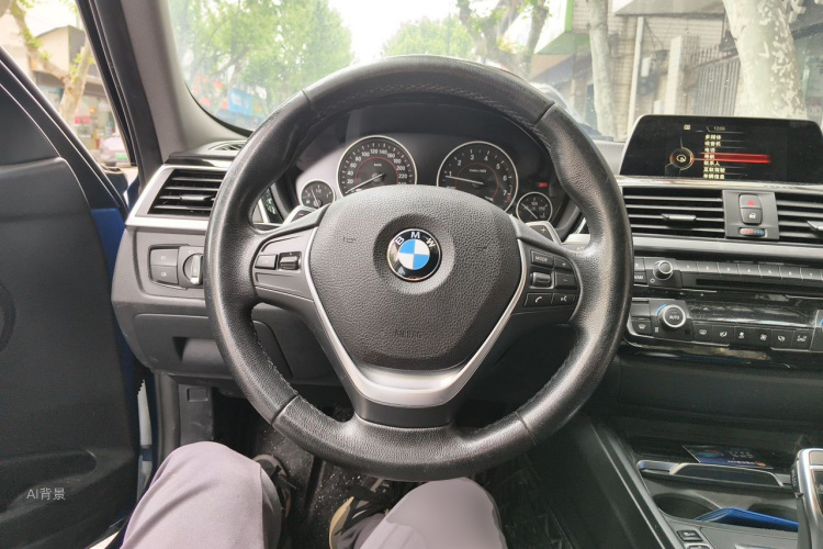 BMW 3 Series 2017 car image #12