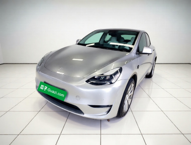 Tesla Model Y 2021 Tesla Model Y 2021 car image