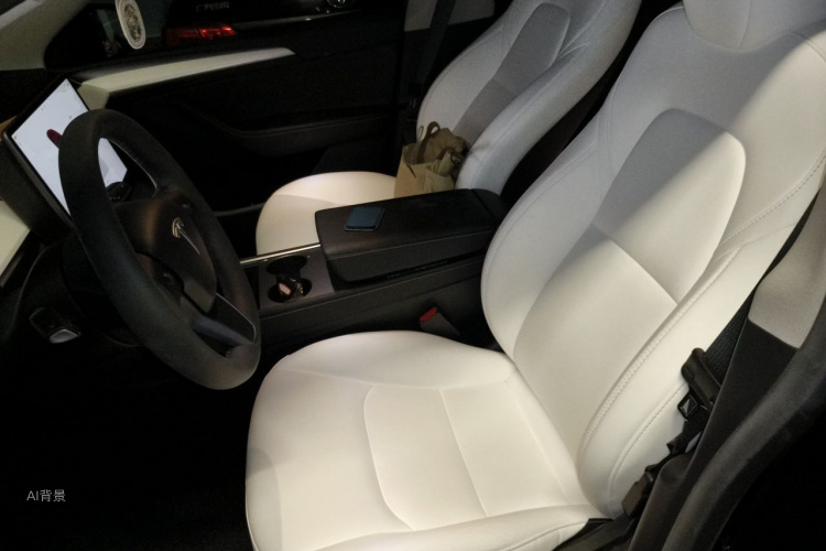 Tesla Model Y 2023 car image #17