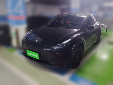 Tesla Model Y 2023 car image 