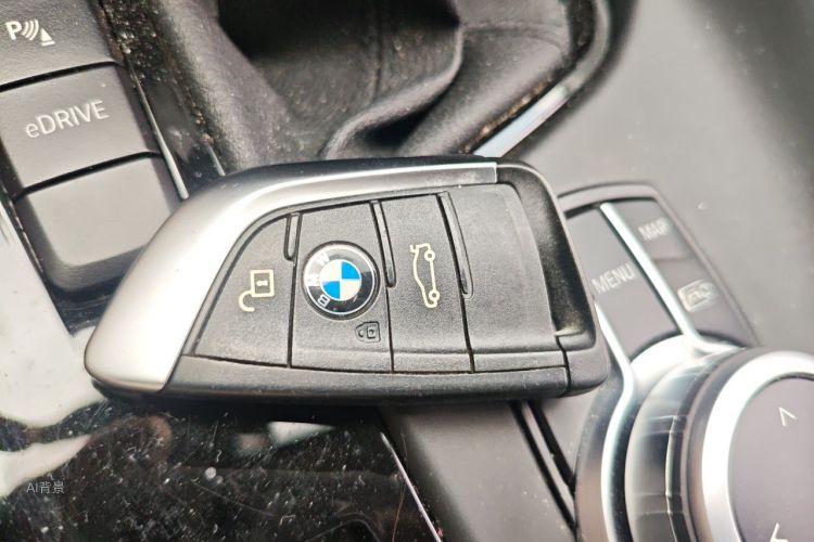 BMW X1 New Energy 2021 car image #10