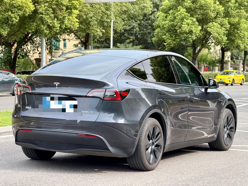 Tesla Model Y 2025 car image #4