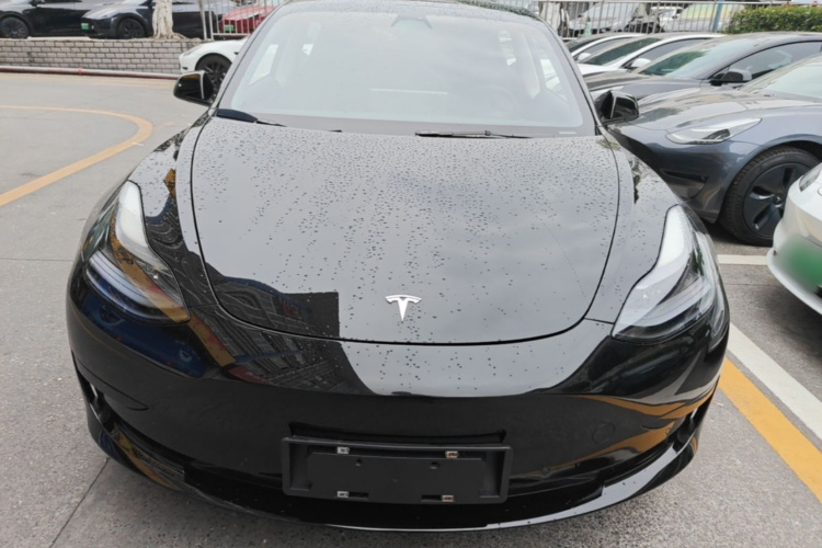 Tesla Model 3 2022 #3 Tesla Model 3 2022 car image #3