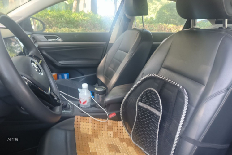 Volkswagen Lavida 2021 car image #17