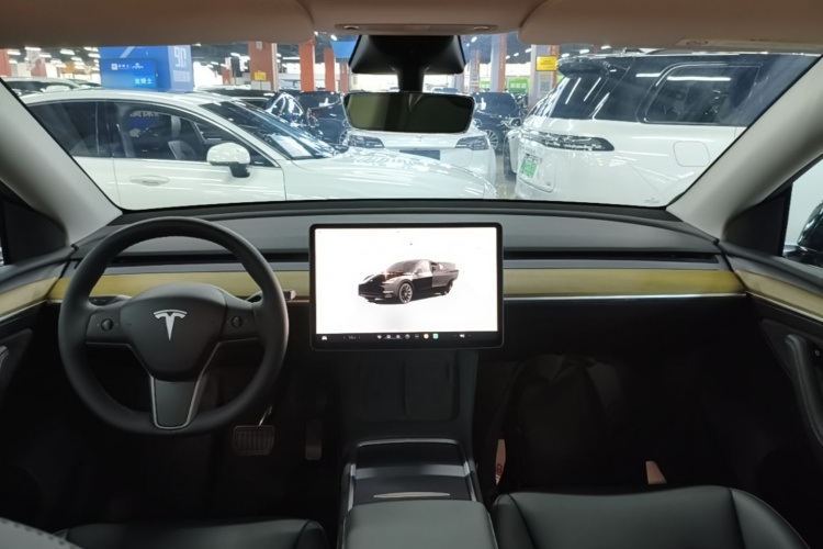 Tesla Model Y 2023 car image #11