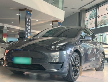 Tesla Model Y 2021 汽车图片 