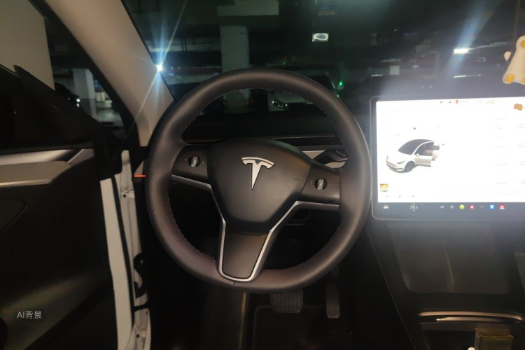 Tesla Model Y 2024 car image #12