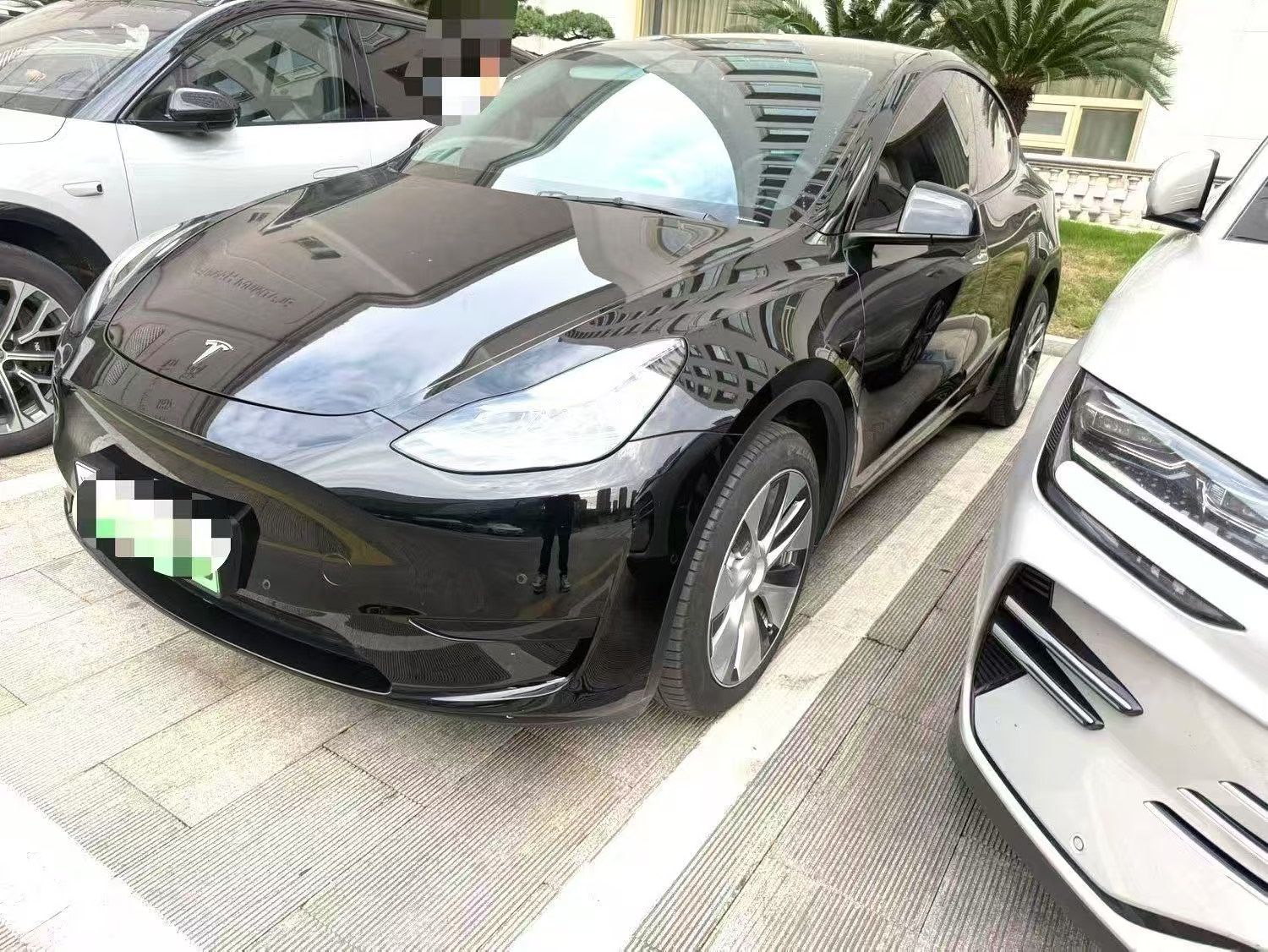 Tesla Model Y 2023 Tesla Model Y 2023 car image