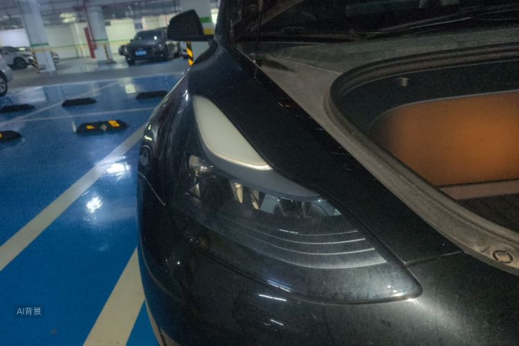 Tesla Model 3 2023 car image #8