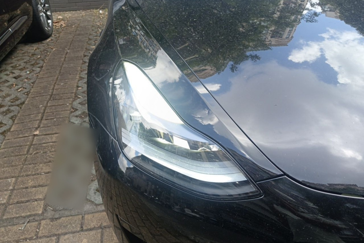 Tesla Model 3 2022 #8 Tesla Model 3 2022 car image #8