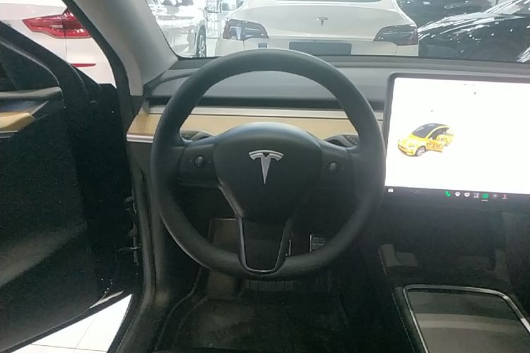 Tesla Model Y 2023 car image #15