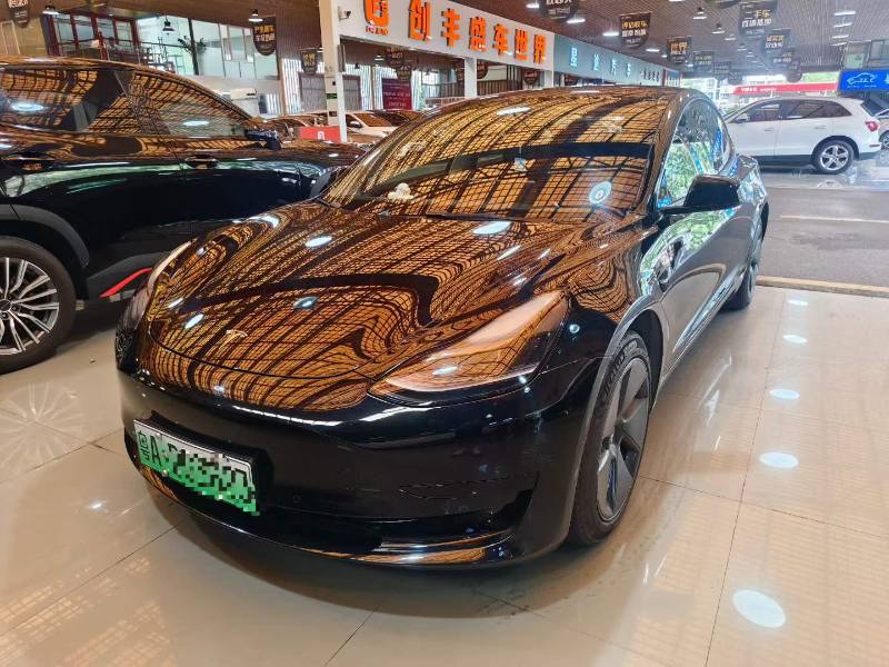 Tesla Model 3 2024 car image 
