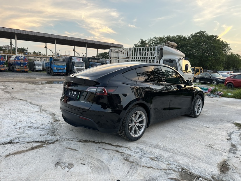 Tesla Model Y 2023 car image #4