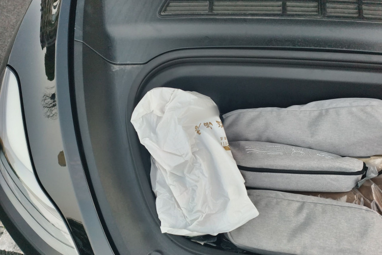 Tesla Model Y 2021 car image #27
