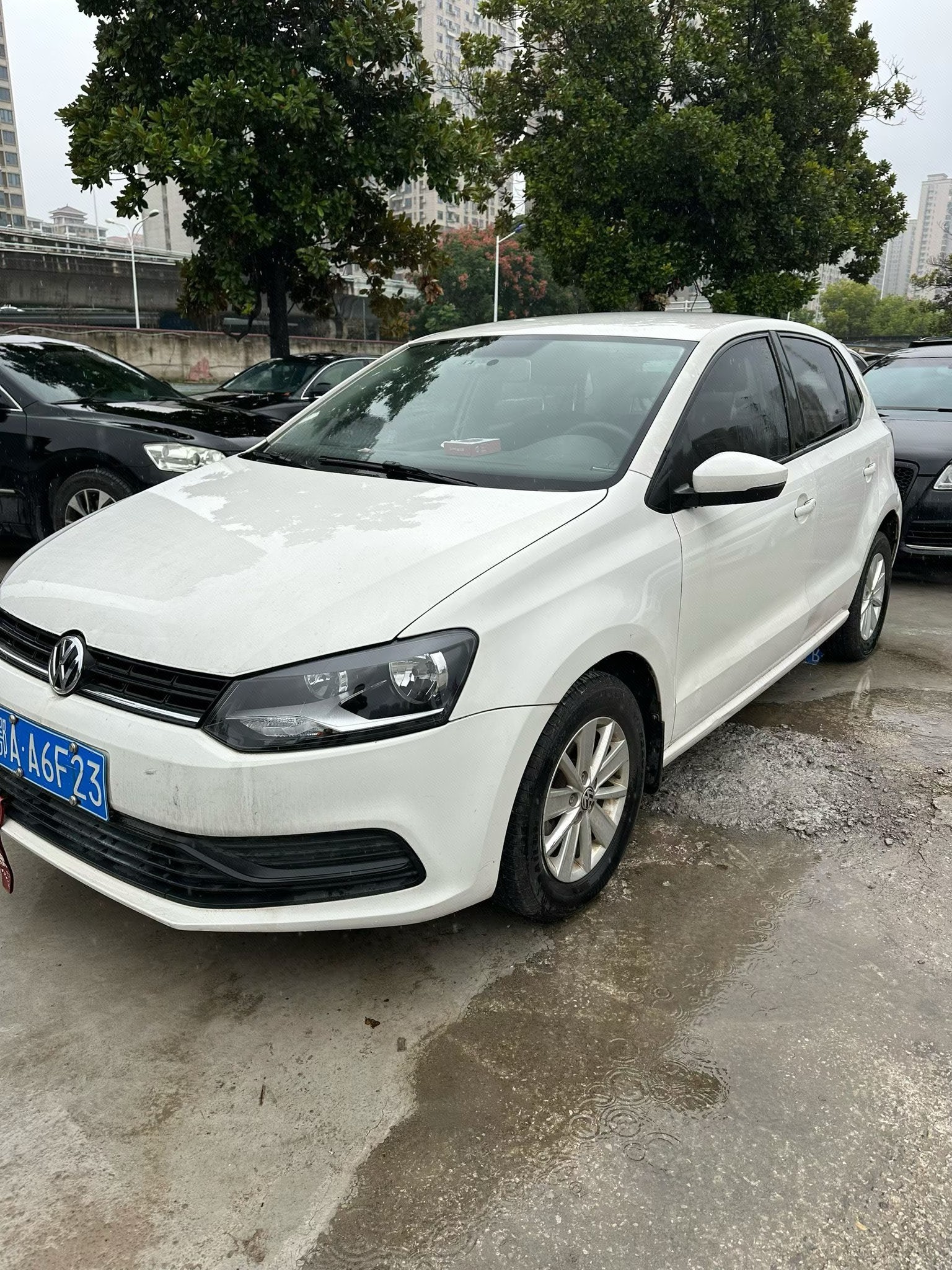 Volkswagen Polo 2017 Volkswagen Polo 2017 car image
